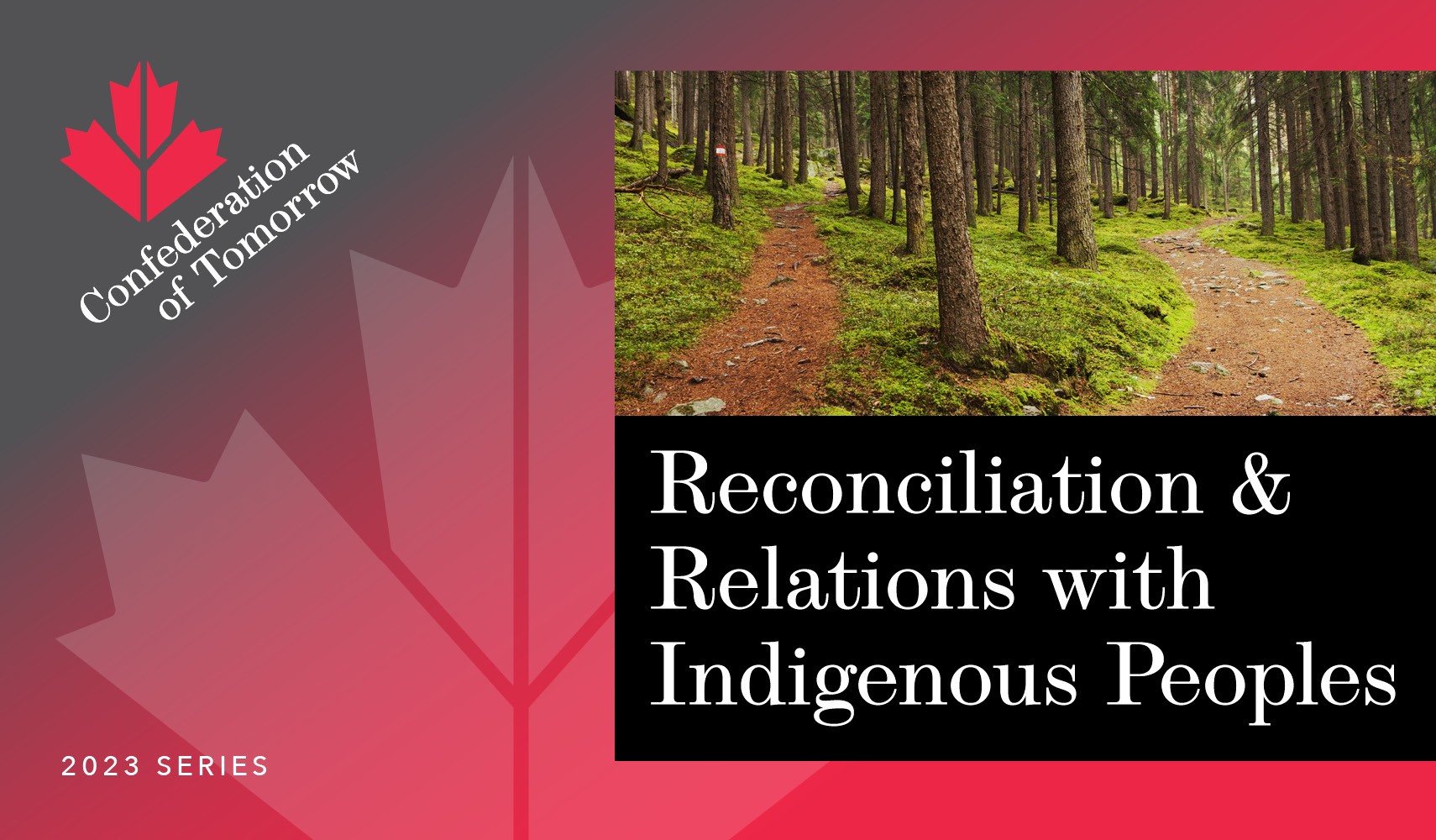 Indigenous report cover image