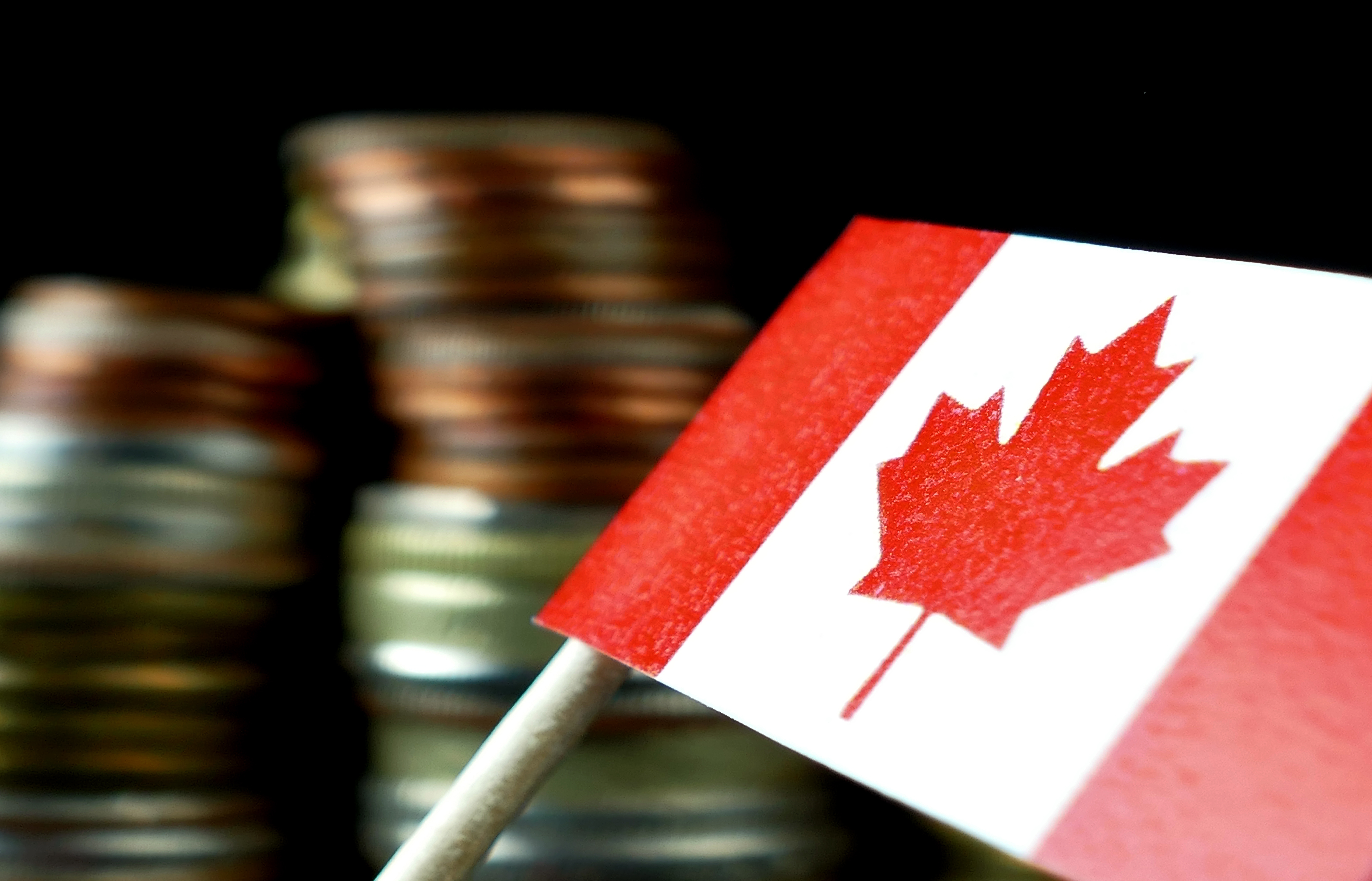 iStock-641649488_flag and money iStock-641649488_flag and money